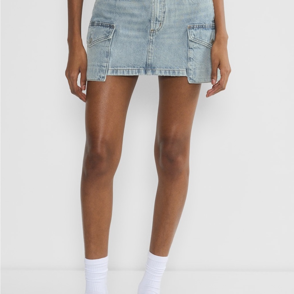 Aritzia Denim Forum Mini Skirt
